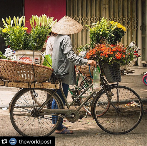 Ảnh du lịch Việt Nam